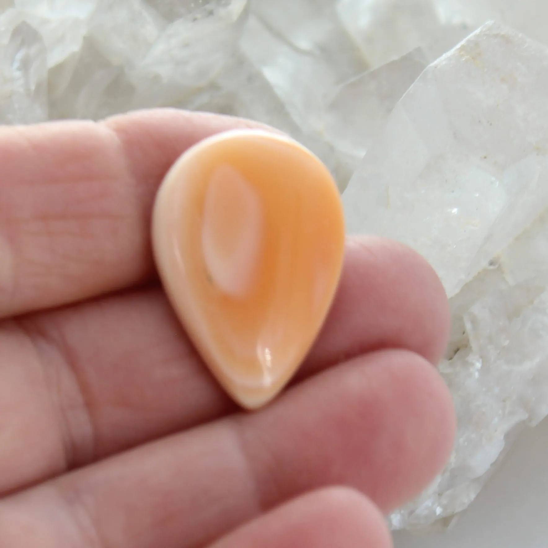 Beautiful Apricot SPINY Oyster Teardrop Cabochon 27x18mm