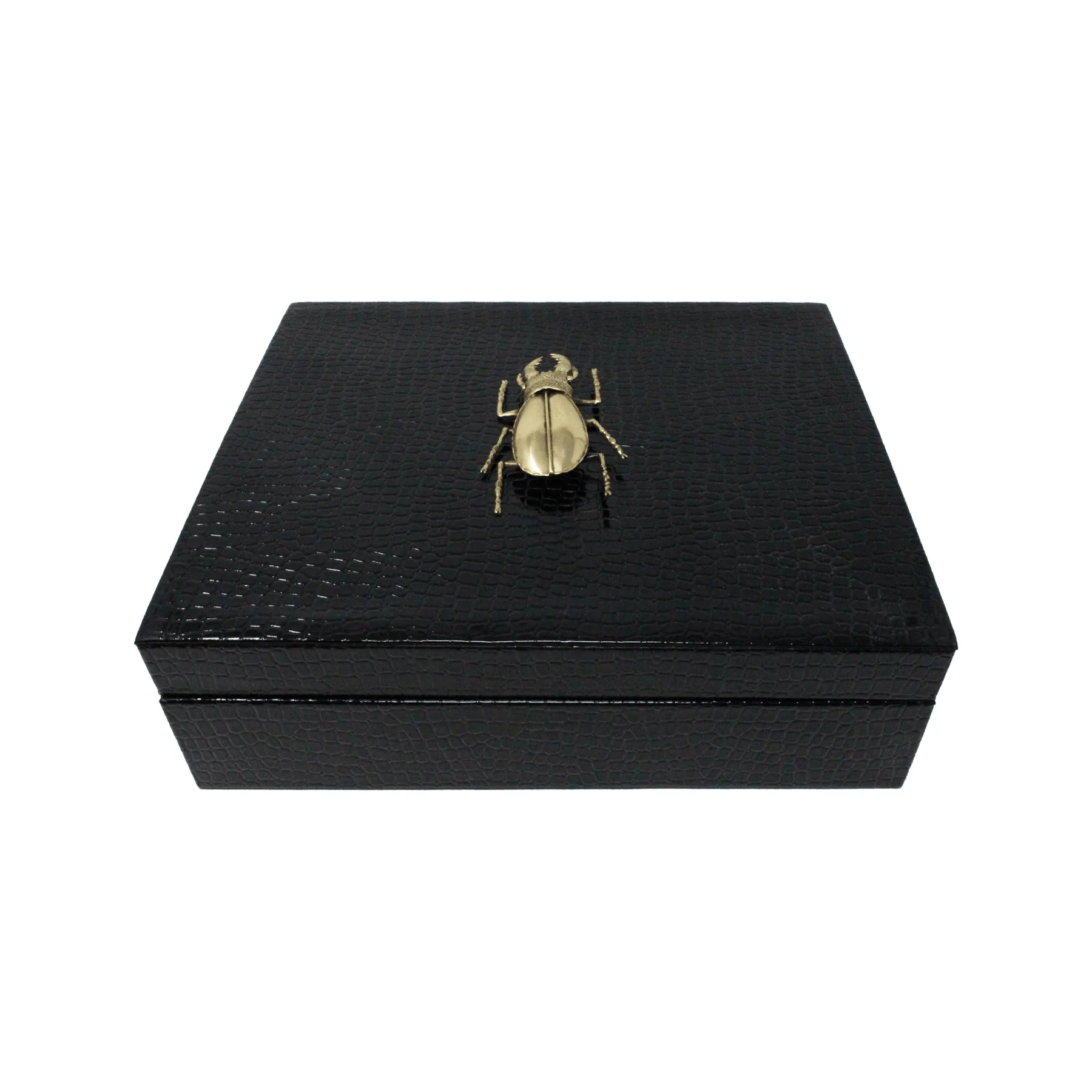 Beetle Embossed Big Box