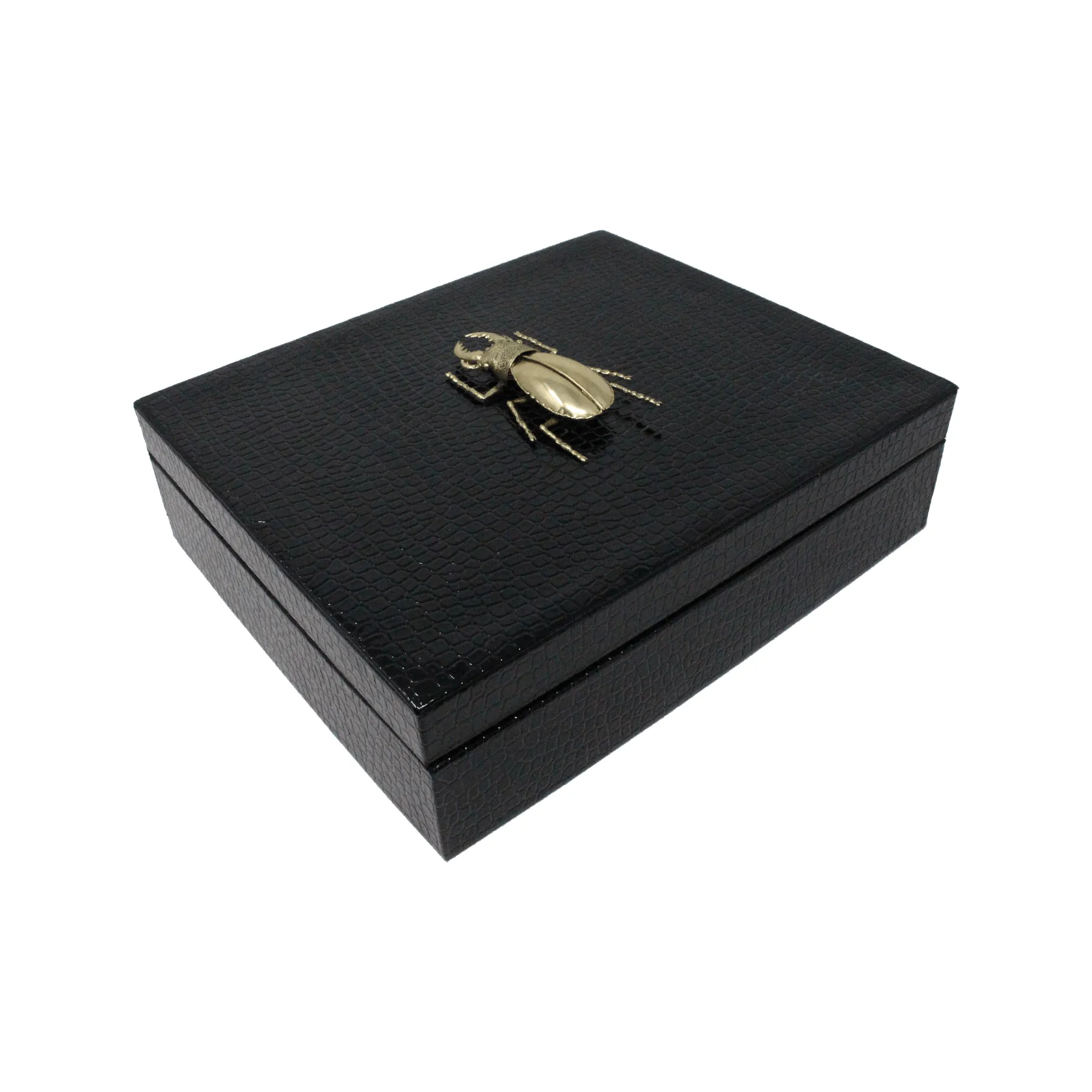 Beetle Embossed Big Box