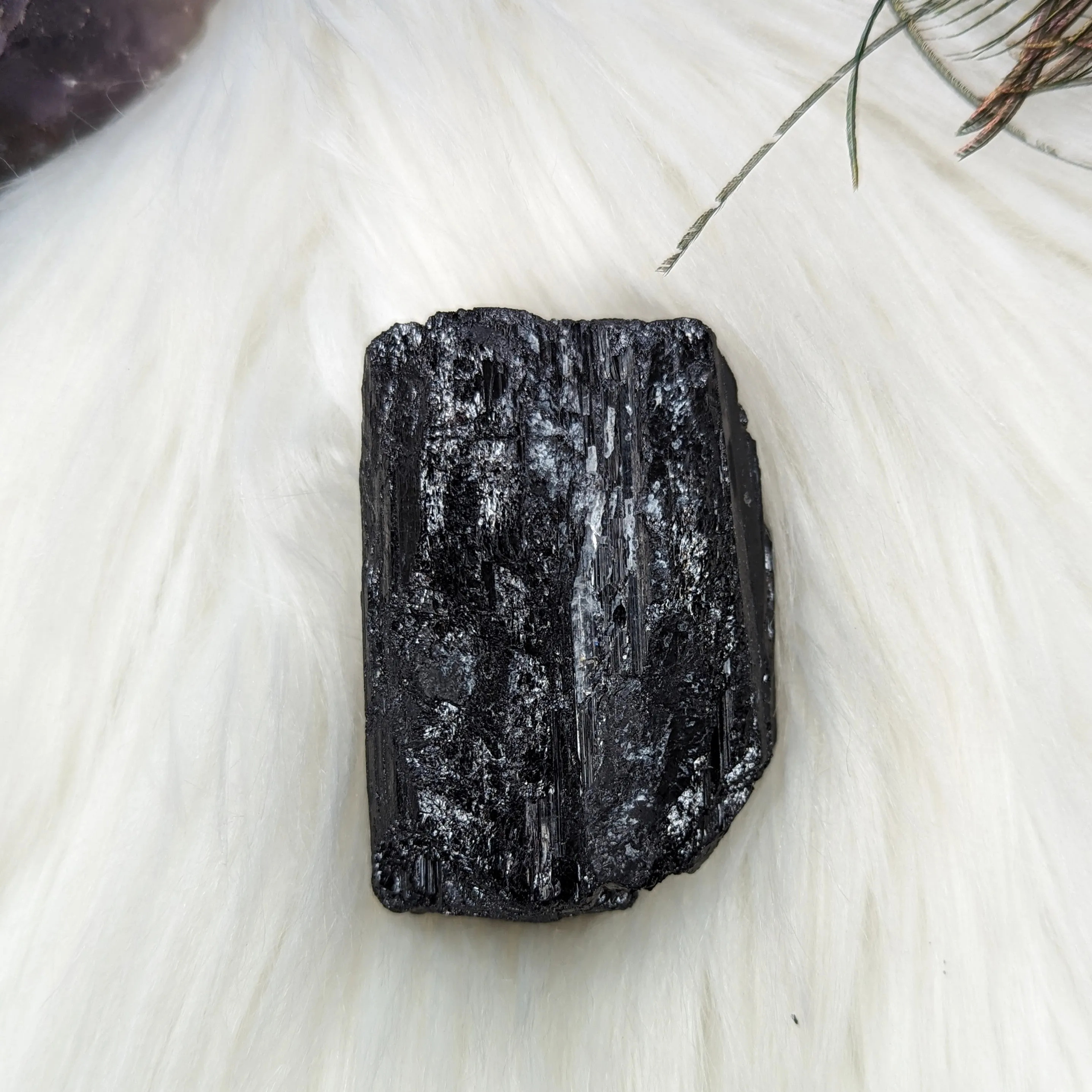 Black Tourmaline AA Gemmy Crystal Specimen