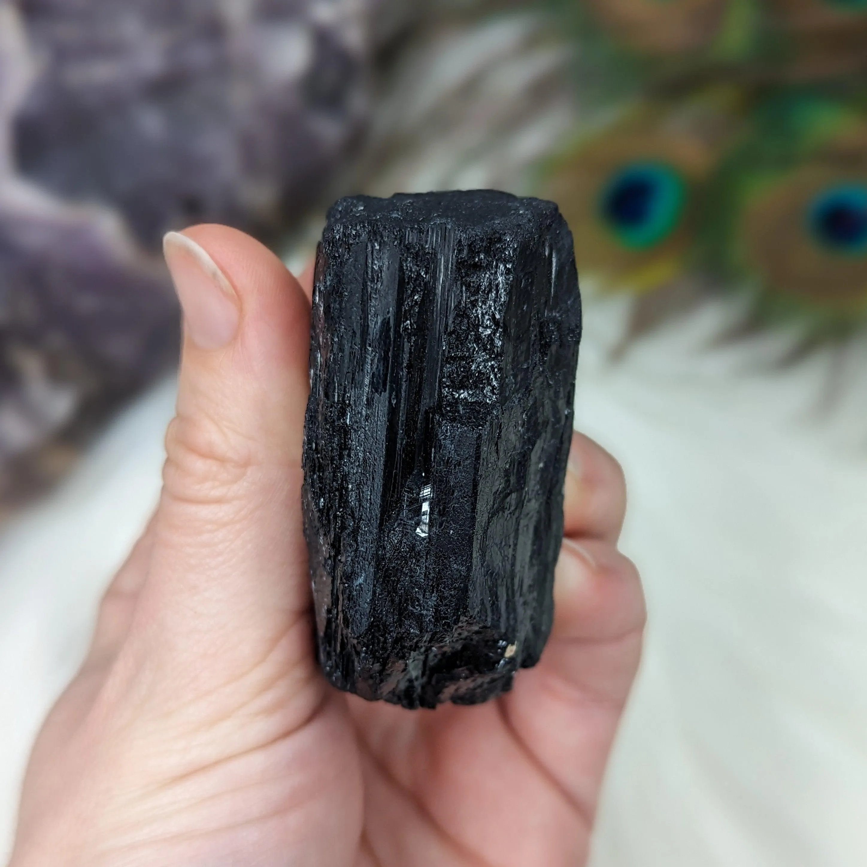 Black Tourmaline AA Gemmy Crystal Specimen