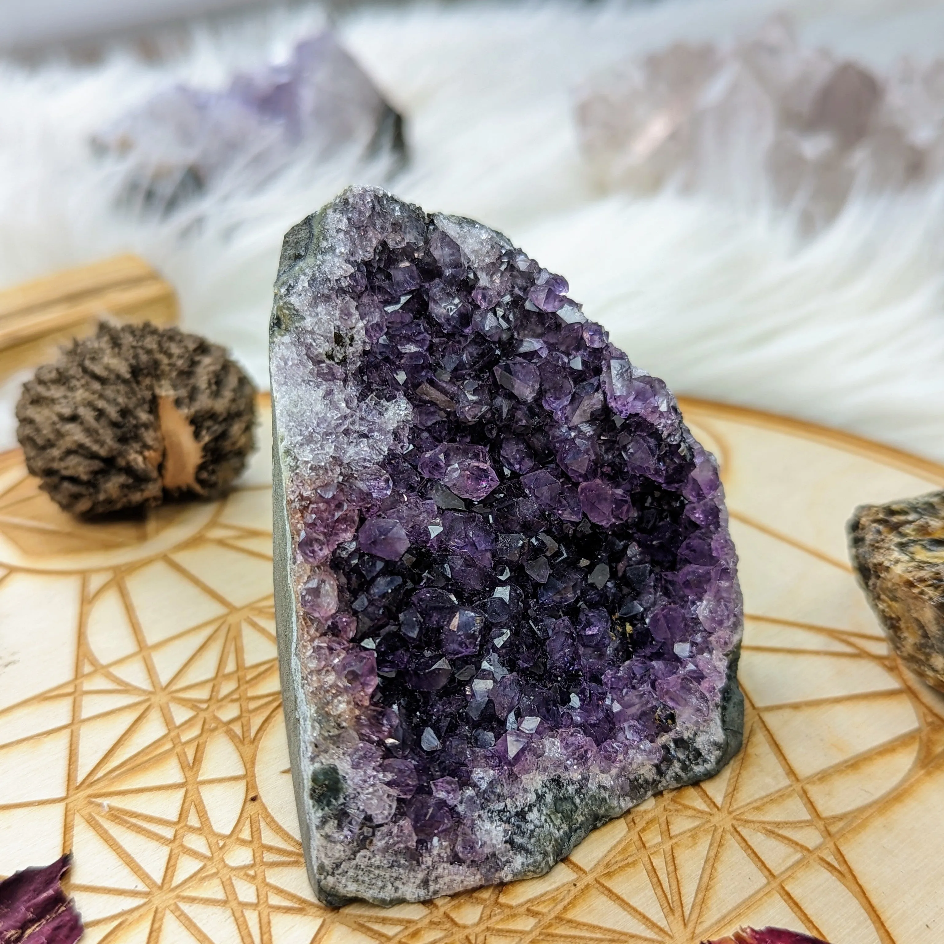 Crown Chakra~ Amethyst Formation Display Specimen #4~ Locale: Uruguay