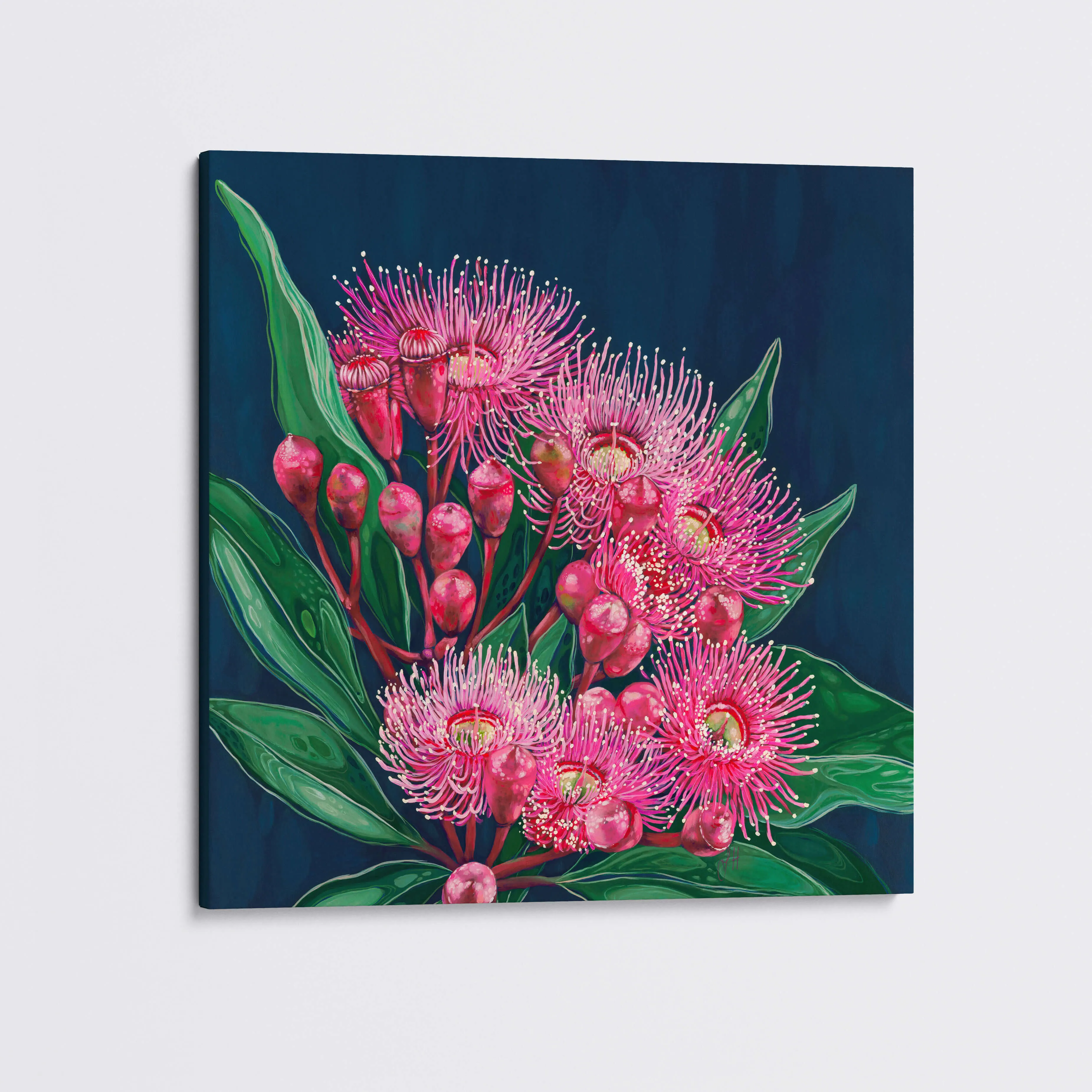 'Midnight Flowering Gum' canvas print