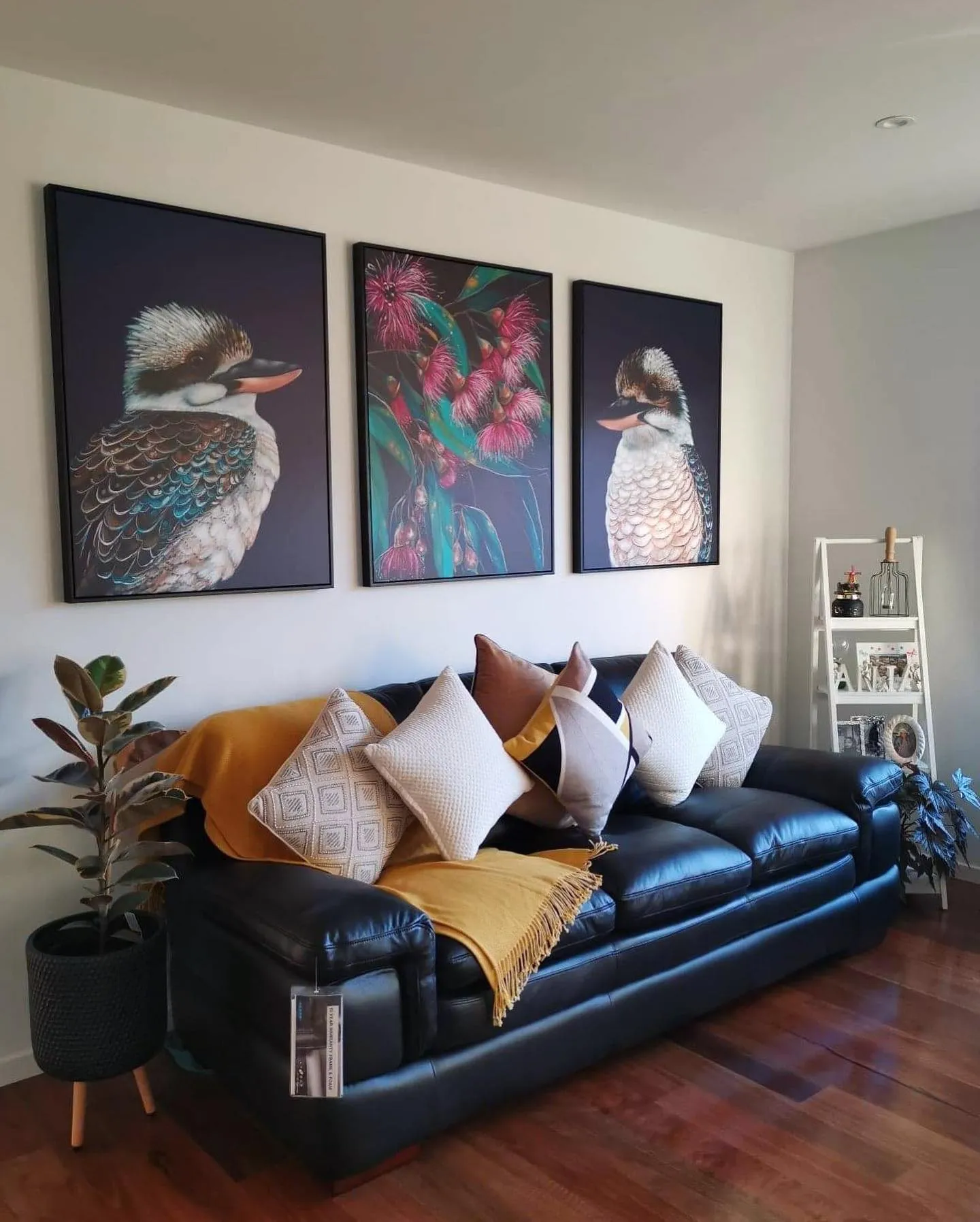 'Ollie' The Laughing Kookaburra canvas print