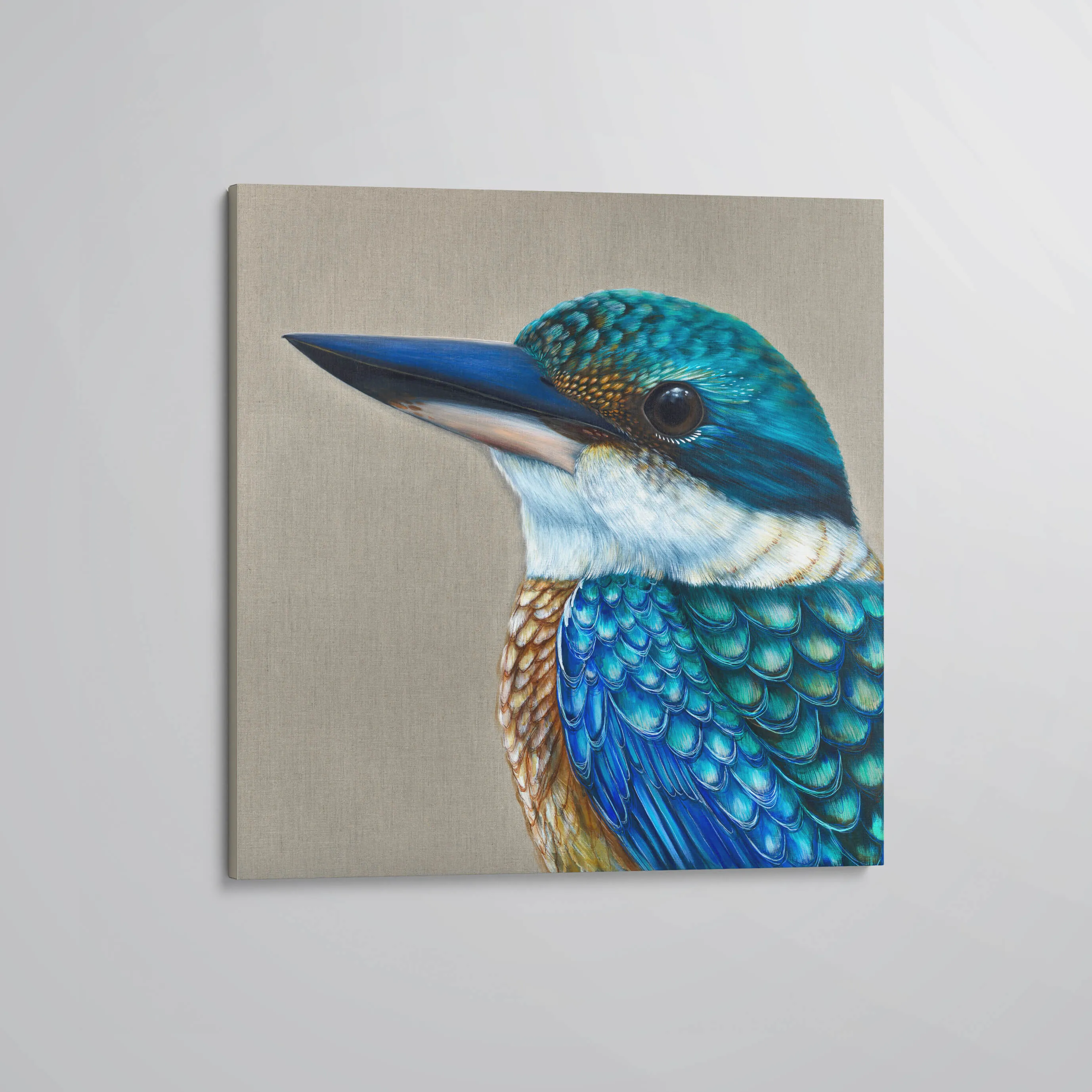 'Reef' The Sacred Kingfisher Stretched Canvas